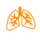 Lung cancer is the leading cause of cancer deaths in the United States.